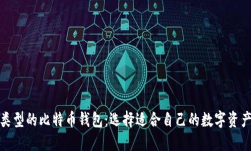 探索不同类型的比特币钱包：选择适合自己的数字资产保护工具