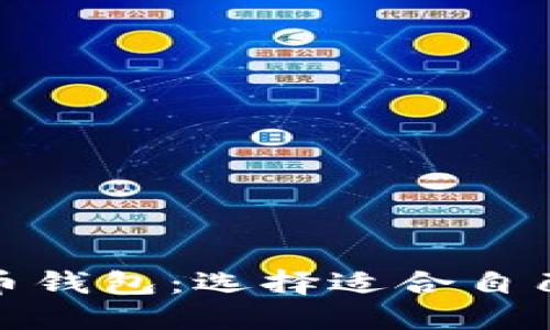 探索不同类型的比特币钱包：选择适合自己的数字资产保护工具