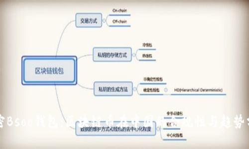 解密Bsoo钱包：区块链币在中国的合规性与趋势分析