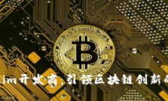 Tokenim开发商：引领区块链