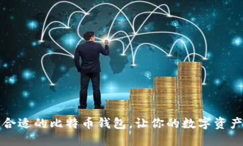如何选择合适的比特币钱包，让你的数字资产安全无忧