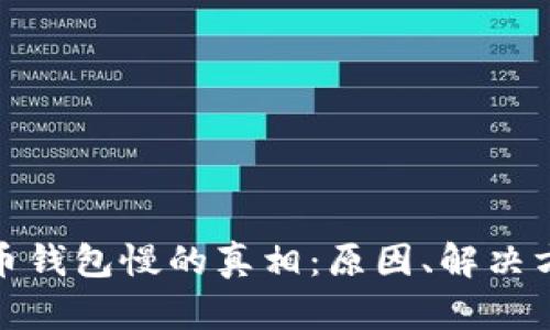 探秘比特币钱包慢的真相：原因、解决方案与策略