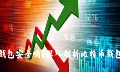 存比特币钱包安全吗？深入剖析比特币钱包的安全性