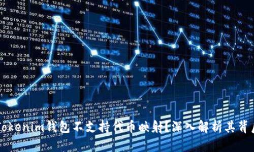 为什么Tokenim钱包不支持代币映射？深入解析其背后的原因