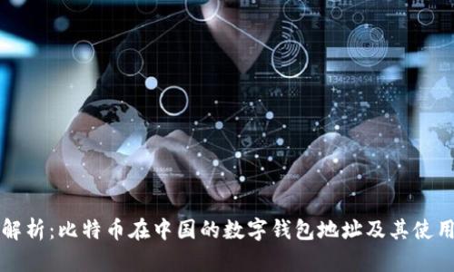 全面解析：比特币在中国的数字钱包地址及其使用指南
