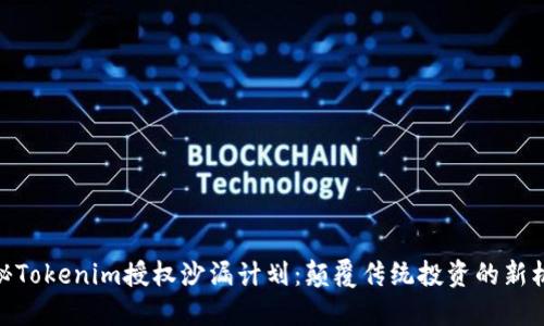 探秘Tokenim授权沙漏计划：颠覆传统投资的新机遇