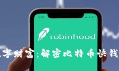 瞬息万变的数字财富：解