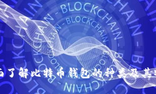 全面了解比特币钱包的种类及其特点