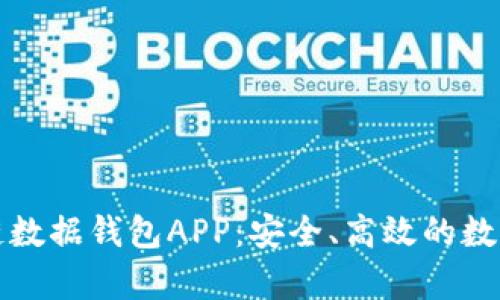 全面解析区块链数据钱包APP：安全、高效的数字资产管理工具