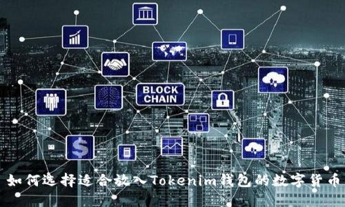 如何选择适合放入Tokenim钱包的数字货币