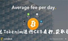 如何通过Tokenim进行CKB质押