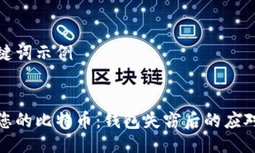 与关键词示例


保护您的比特币：钱包失窃后的应对策略