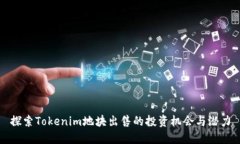 探索Tokenim地块出售的投资