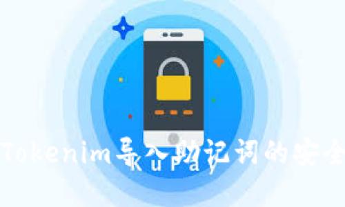 深入了解Tokenim导入助记词的安全性与策略