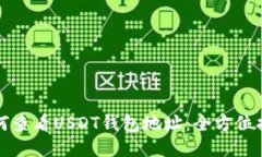 如何查看USDT钱包地址：全方位指南
